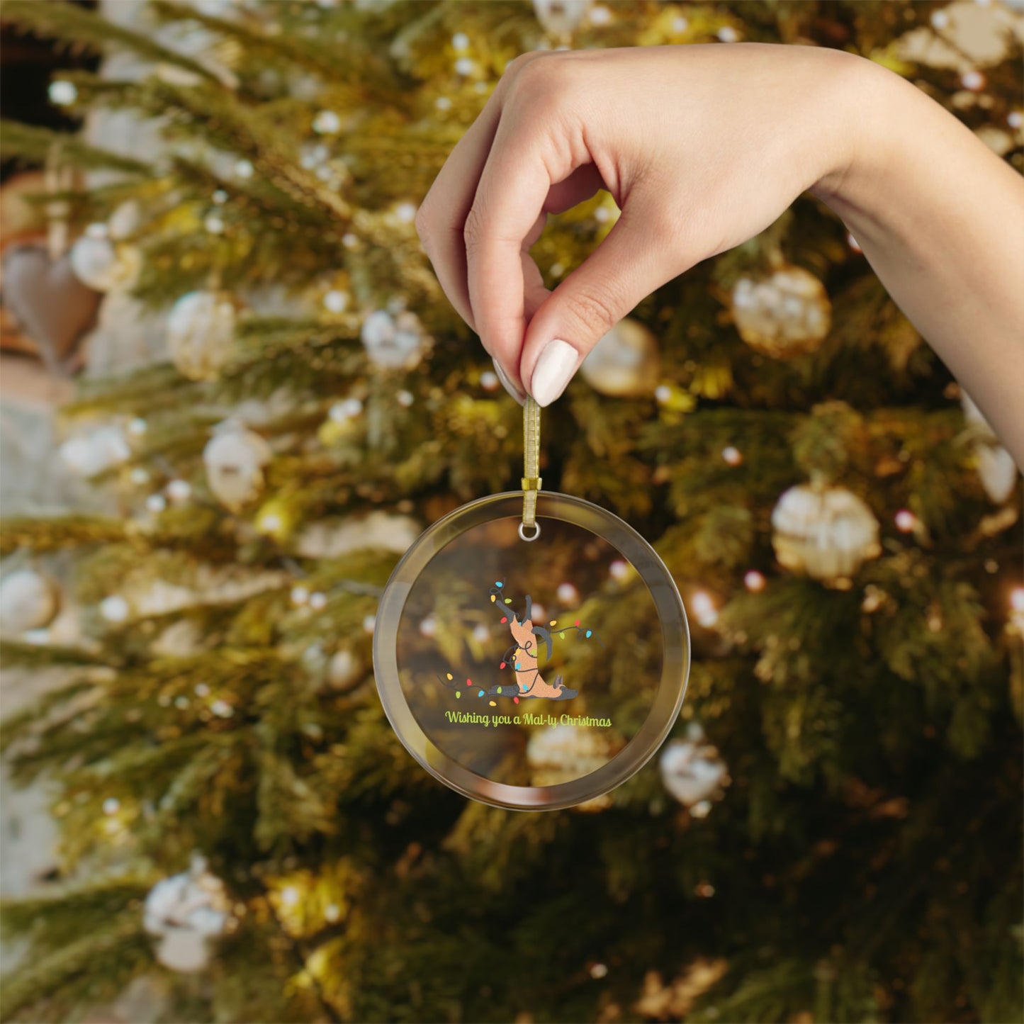 Wishing you a Mally Christmas Belgian Malinois Glass Ornaments