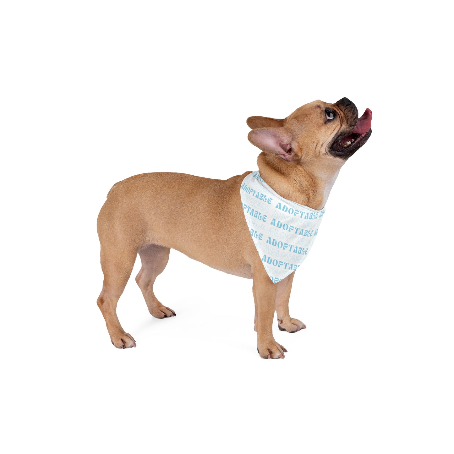 Adoptable Pet Bandana