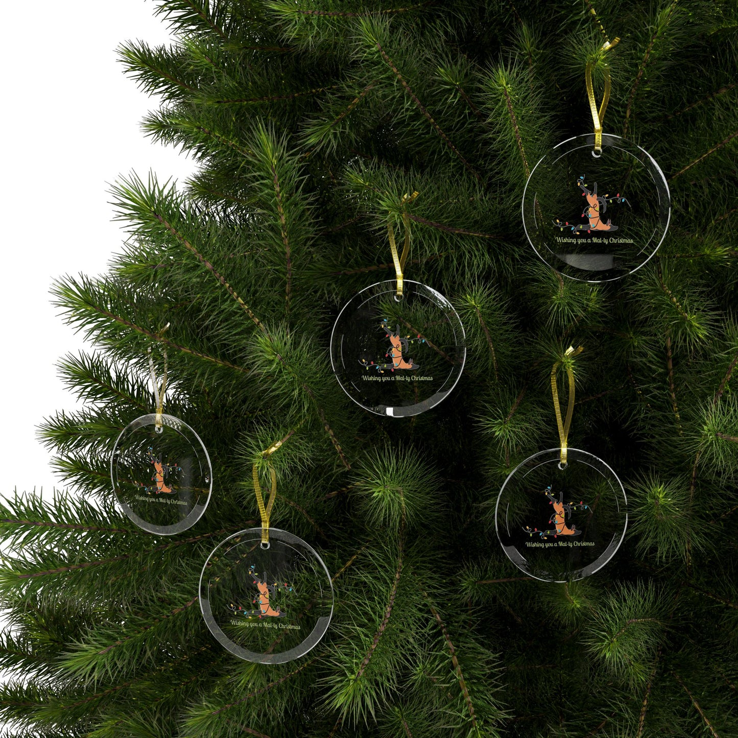 Wishing you a Mally Christmas Belgian Malinois Glass Ornaments