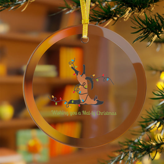 Wishing you a Mally Christmas Belgian Malinois Glass Ornaments